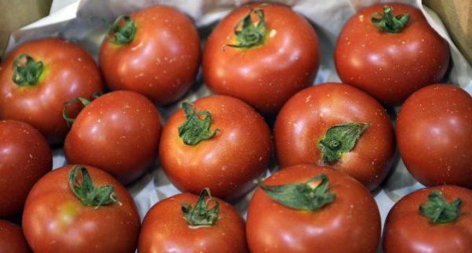 Rusya’ya domates ihracat kotası 200 bin tona çıkarıldı