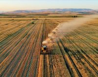 Tarım üretici fiyatları endeksi: 2020’nin ilk sekiz ayındaki enflasyon son 11 yılın en yükseği