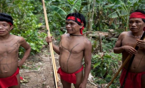 Koronavirüs Amazon ormanlarında da yayılıyor: Yanomami kabilesinde ilk vaka