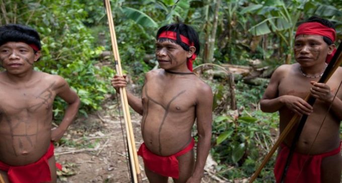 Koronavirüs Amazon ormanlarında da yayılıyor: Yanomami kabilesinde ilk vaka