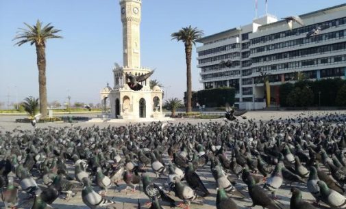 Konak Meydanı güvercinlere kaldı