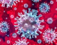 Bilim Kurulu Üyesi Prof. Turan: Mutasyonlu virüsün görüldüğü il sayısı 23’e yükseldi