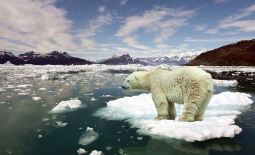 Kuzey Buz Denizi’nde 2050’ye kadar yaz mevsiminde buzullar yok olabilir
