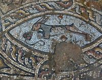 Side’de inşaat kazısında Roma dönemine ait mozaikler bulundu
