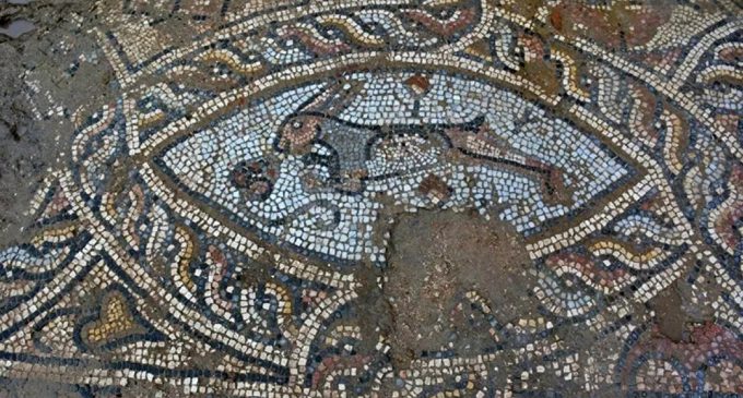 Side’de inşaat kazısında Roma dönemine ait mozaikler bulundu