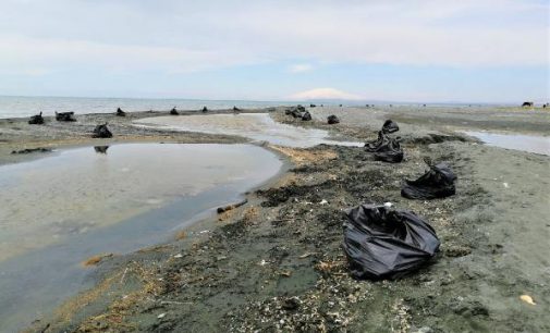 Van Gölü sahillerinden 100 ton çöp çıktı