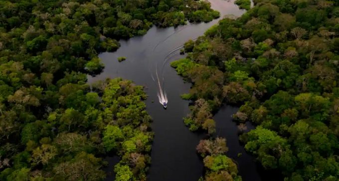 Yerli halklar risk altında: Amazon’da ilk yerel koronavirüs vakası tespit edildi