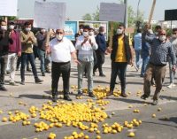Limon üreticileri yol kesip eylem yaptı: ‘Bakan istifa’ sesleri