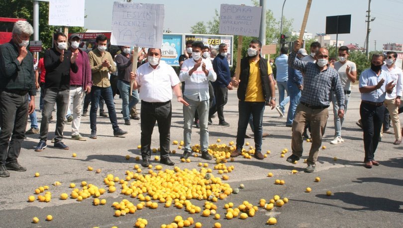 Limon üreticileri yol kesip eylem yaptı: 'Bakan istifa' sesleri ...