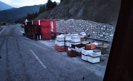 Devrilen kamyondaki binlerce arı yola dağıldı; İki yaralı