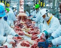 Et üretim fabrikasında 373 işçide koronavirüs tespit edildi