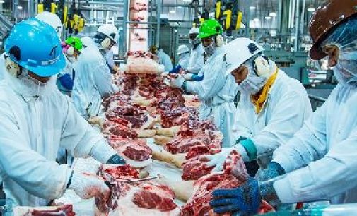 Et üretim fabrikasında 373 işçide koronavirüs tespit edildi