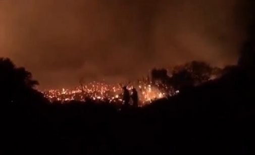Kaş’ta orman yangını: Villalar boşaltılmıştı, yangın kontrol edildi