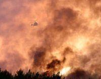 Orman yangınında 50 hektarlık kızılçam alanı zarar gördü
