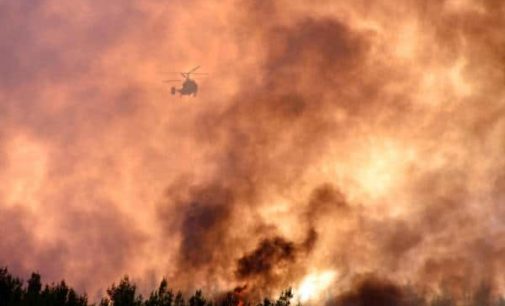Orman yangınında 50 hektarlık kızılçam alanı zarar gördü
