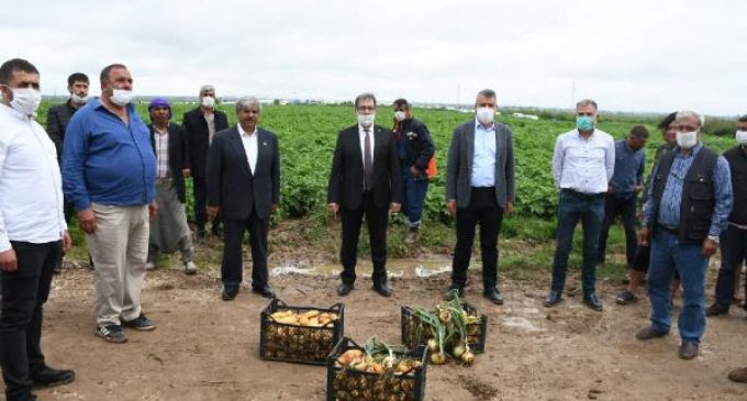 Soğan ve patates üreticileri: İthalat engellensin, ihracat açılsın