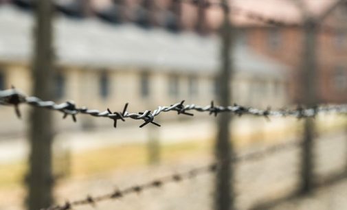 Muğla Cezaevi’nde bir koğuşta kalan 34 mahkumdan 11’i Covid-19 çıktı