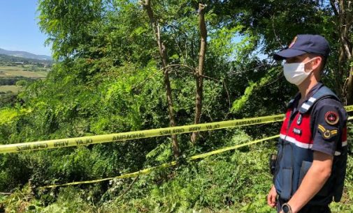 Dut ağacını neden budadın kavgası: 73 yaşındaki kişi kardeşi ve yeğenini öldürdü