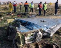 Ukrayna uçağının düşürülmesinin yıl dönümünde beş ülkeden ortak açıklama
