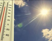 Türkiye’de Ocak ayında 72 merkezde ekstrem sıcaklık rekoru kırıldı