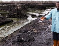 Shell’e Nijer deltasında yarattığı kirlilik nedeniyle dava açıldı: ‘Temizlemesi 30 yıl sürebilir’