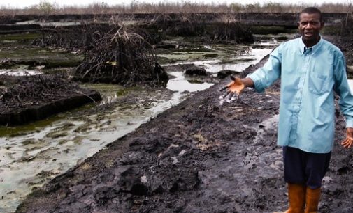 Shell’e Nijer deltasında yarattığı kirlilik nedeniyle dava açıldı: ‘Temizlemesi 30 yıl sürebilir’
