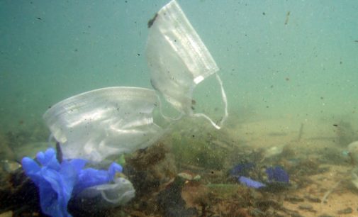 Dalgıçlar su altındaki maske ve eldiven kirliliğini belgeledi