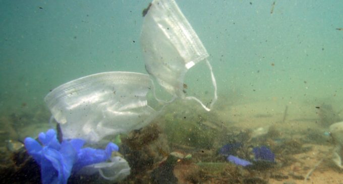 Dalgıçlar su altındaki maske ve eldiven kirliliğini belgeledi