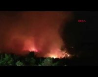 Manavgat’ta orman yangını: Yerleşim yerlerini tehdit ediyor
