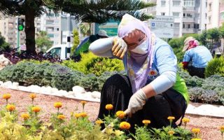 40 derece sıcaklıkta kadın peyzaj işçilerinin zorlu mesaisi