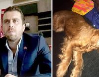 Köpeğe cinsel saldırıda bulunarak öldüren Volkan Uzun tutuklandı