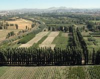 CHP’li Hakverdi: Atatürk Orman Çiftliği asrın talanı ile karşılaştı