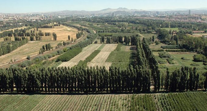 CHP’li Hakverdi: Atatürk Orman Çiftliği asrın talanı ile karşılaştı