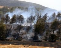Çanakkale Ecebat’ta orman yangını: Çanakkale Boğazı gemi geçişlerine kapatıldı