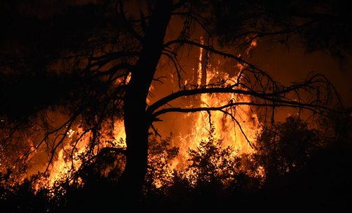 Yangın dünden beri sürüyor: Çanakkale’deki orman yangınına havadan müdahale yeniden başladı