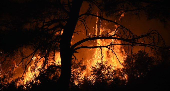 Yangın dünden beri sürüyor: Çanakkale’deki orman yangınına havadan müdahale yeniden başladı