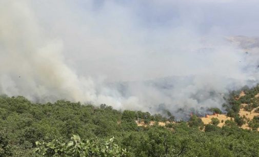 Diyarbakır Lice’deki yangın sosyal medyada gündem oldu: #LiceYanıyor