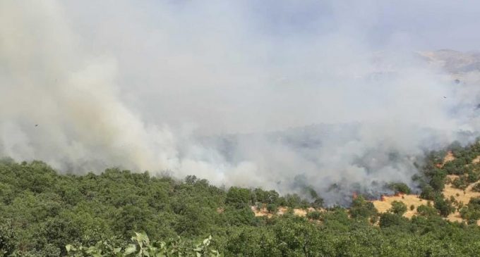 Diyarbakır Lice’deki yangın sosyal medyada gündem oldu: #LiceYanıyor