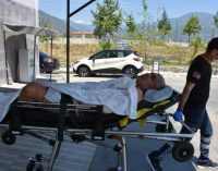 Elektrik sayacı okuyan görevli, iki pitbullun saldırısıyla yaralandı