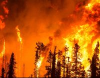 İçişleri’nden ‘Orman Yangınları’ genelgesi: Belirlenmiş alanlar dışında mangal, semaver, ateş yakılmayacak