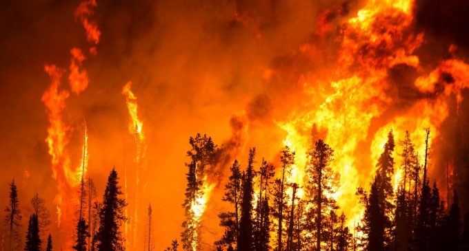 Bir günde 15 orman yangını: Altısı kontrol altına alınamadı