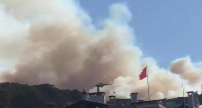 Heybeliada’da orman yangını: Üç kişi gözaltına alındı