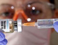 Rusya Başbakan Yardımcısı: Covid-19 aşısı Ağustos’ta tescil edilecek, Eylül’de üretime başlanacak