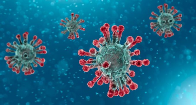 Koronavirüsün yeni mutasyonu daha bulaşıcı: Tehlikenin adı D614G