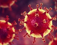 Koronavirüs salgınında günlük vaka sayısında rekor: 24 saatte 292 bin 527 yeni vaka