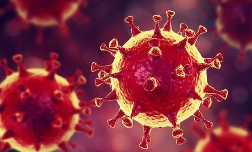 Küresel koronavirüs vakaları 83 milyonu geçti