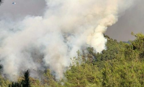 Manisa Ahmetli’de orman yangını