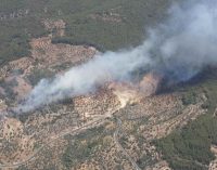 Orman Genel Müdürlüğü: Bir günde 10 şehirde 15 noktada orman yangını çıktı