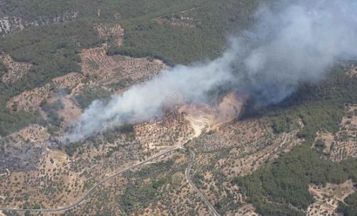 İzmir, Uşak, Denizli ve Bursa’daki orman yangınları kontrol altına alındı