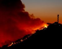 2019’da 2 bin 688 orman yangını çıktı, 11 bin hektar alan kül oldu: En büyük zarar İzmir’de